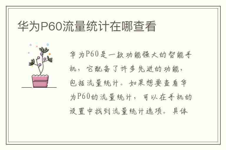 华为P60流量统计在哪查看(华为p60流量统计在哪查看啊)